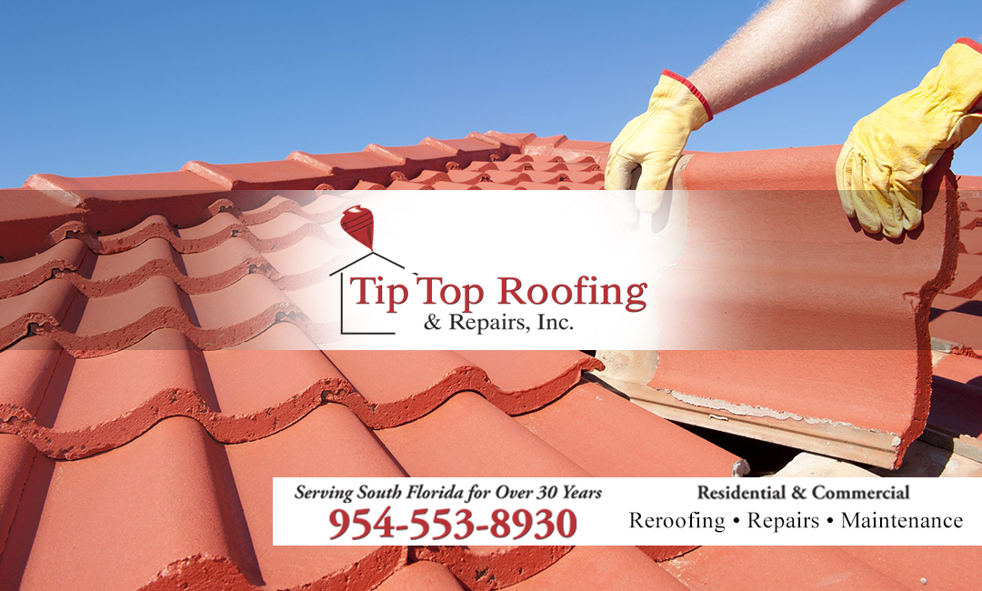 Tip Top Roofing & Repairs Inc. Photo