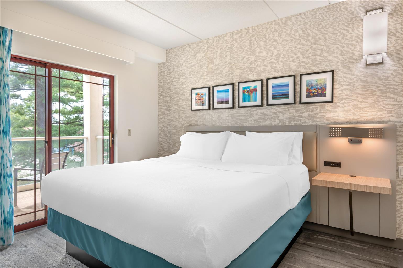 Hilton Garden Inn Wisconsin Dells Image