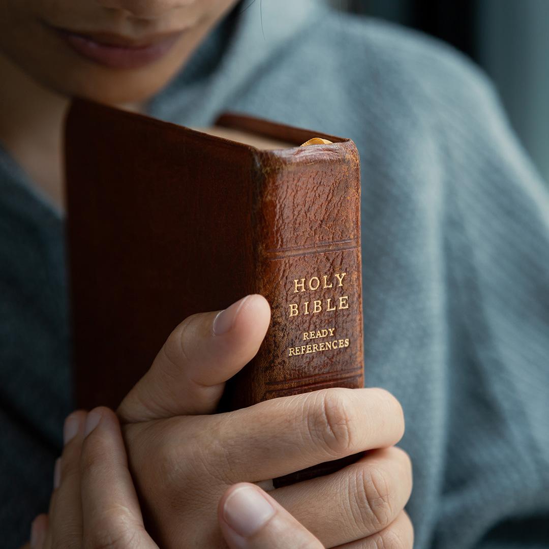 Catholic International University Image