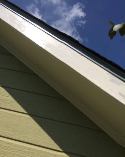 GUNN'S Painting Image