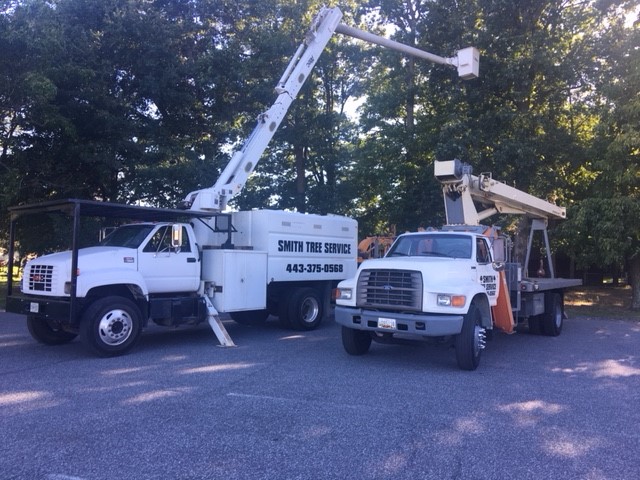 Smith&apos;s Tree Service Logo