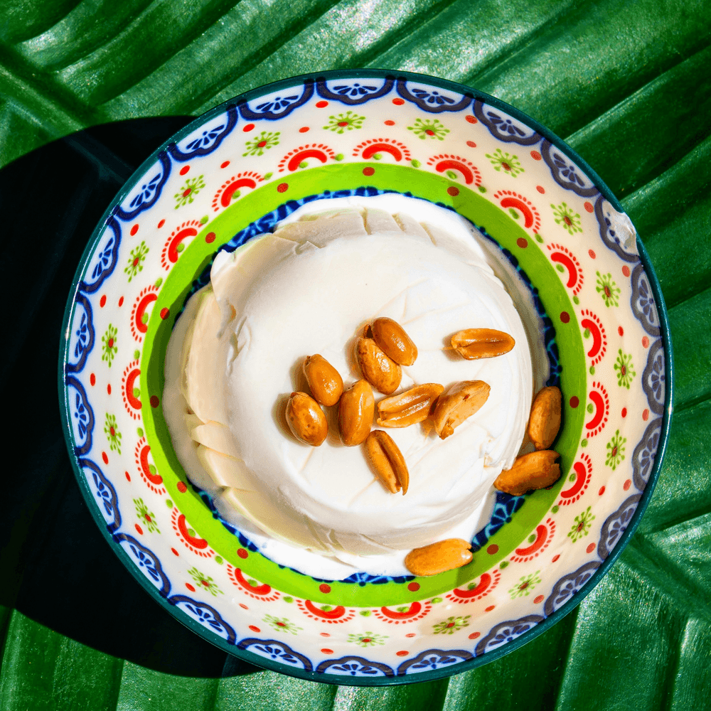 Coconut Ice Cream