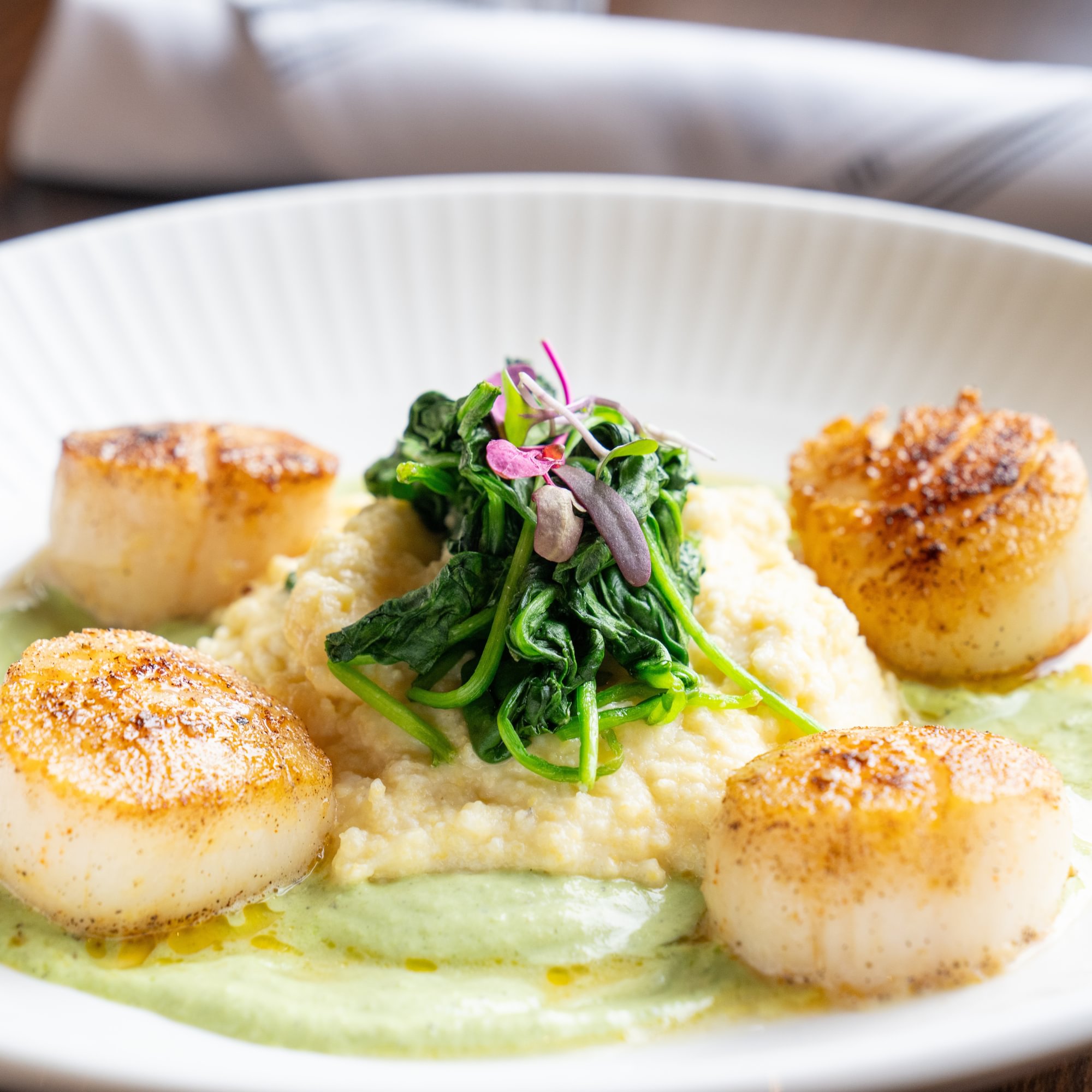 Scallops