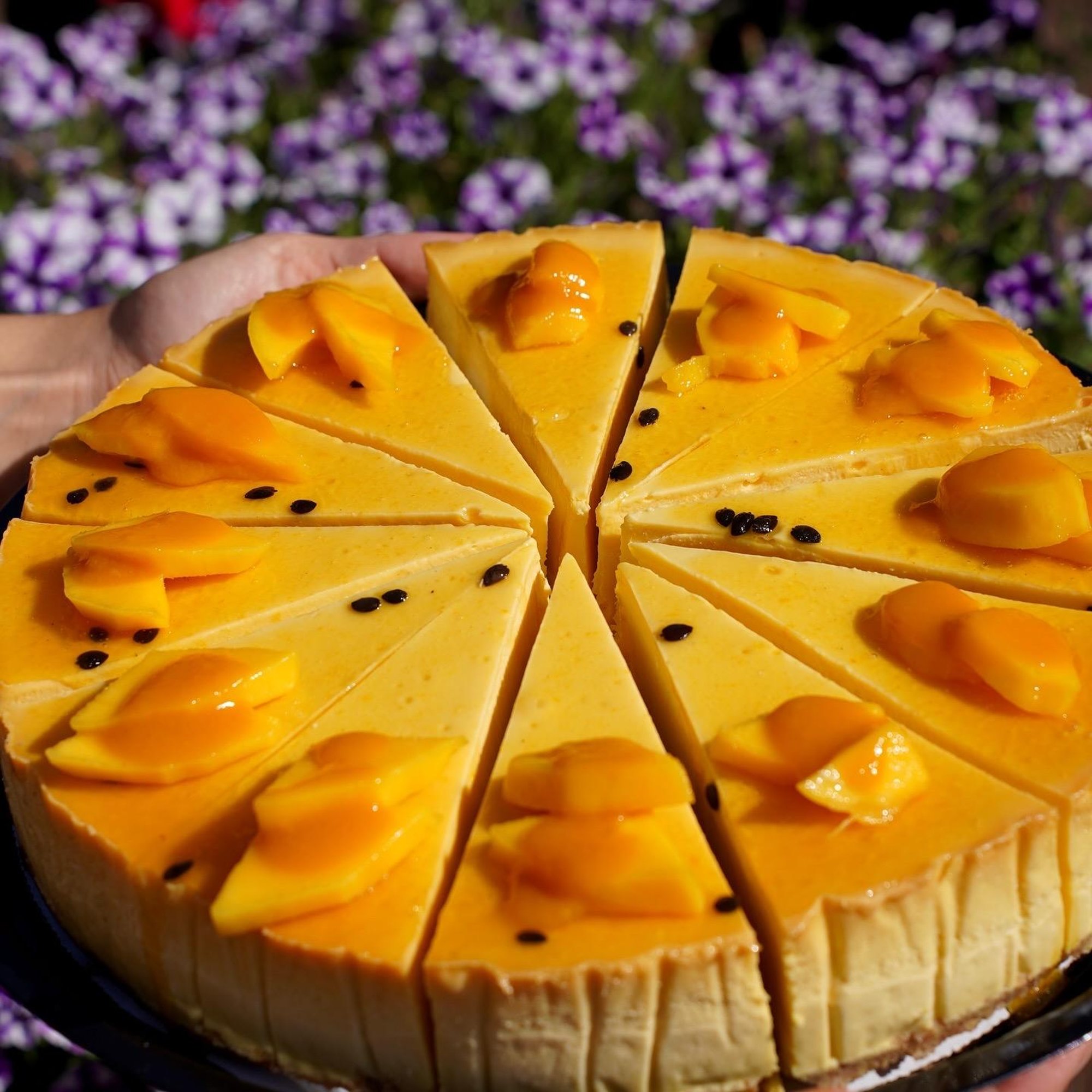 PF Cheesecake