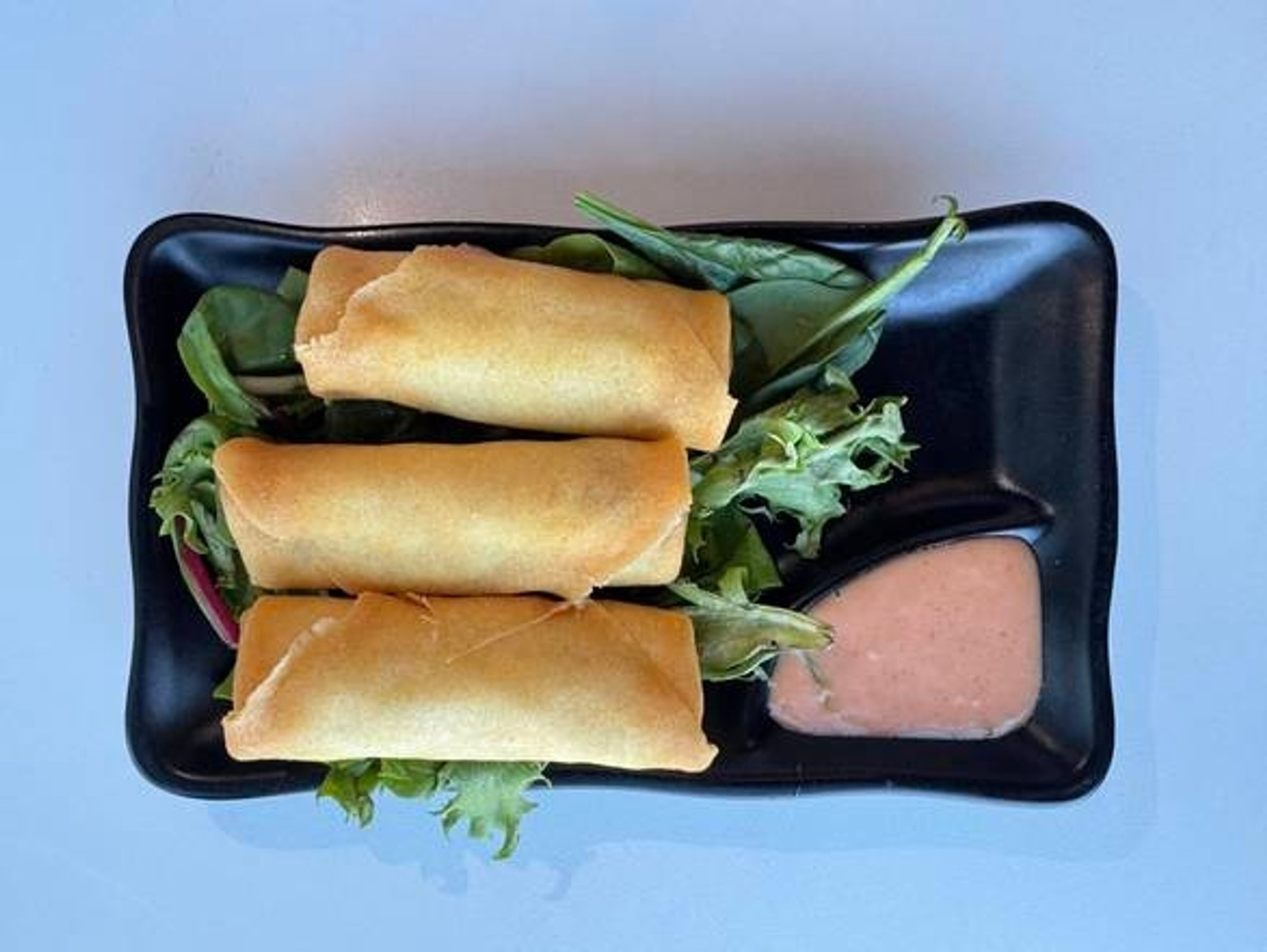 Vegetable Spring Roll (3)