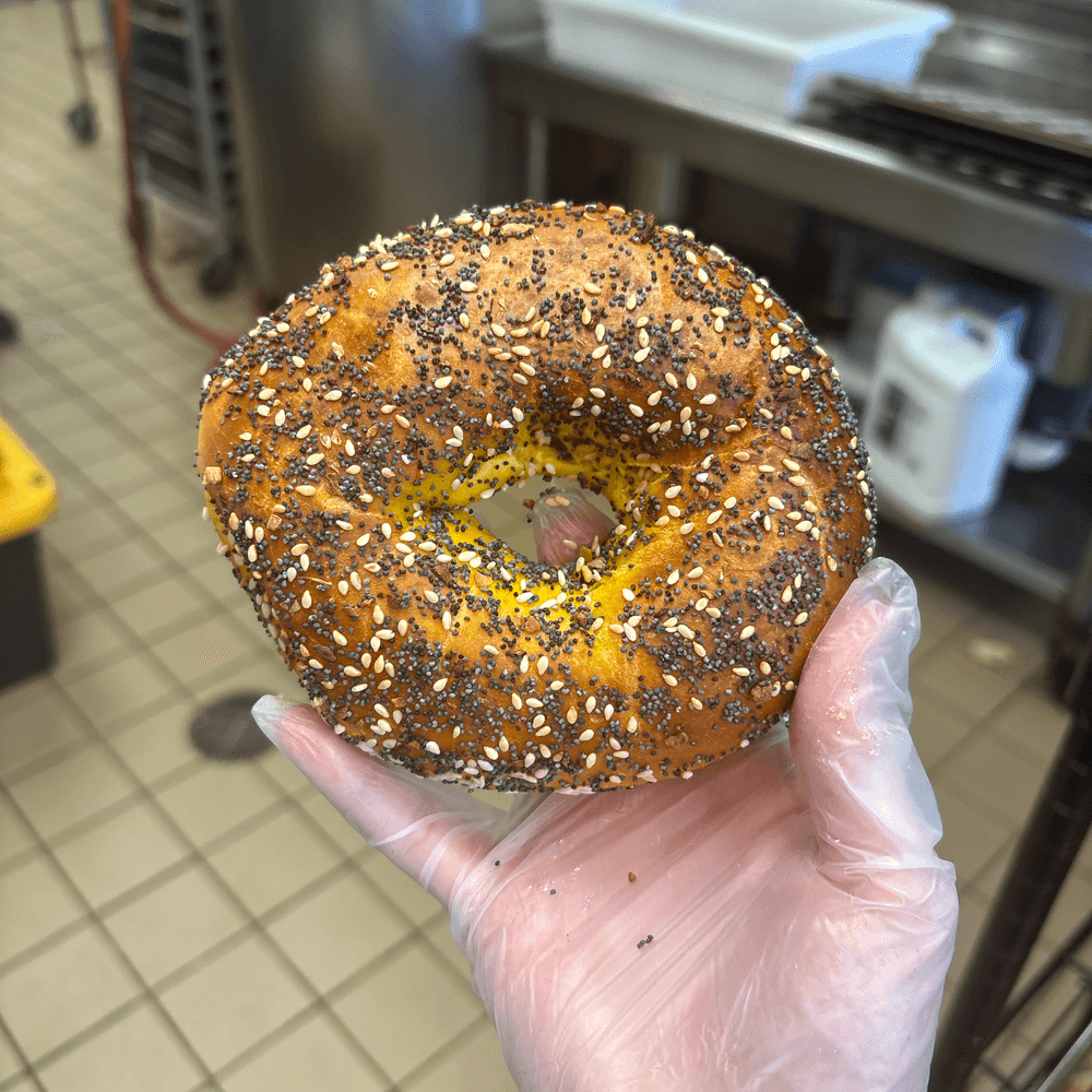 Egg Everything Bagel
