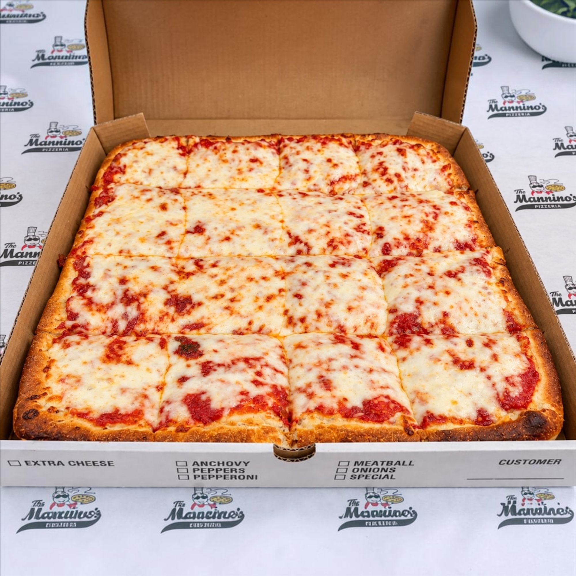 Regular Cheese Sicilian Pizza