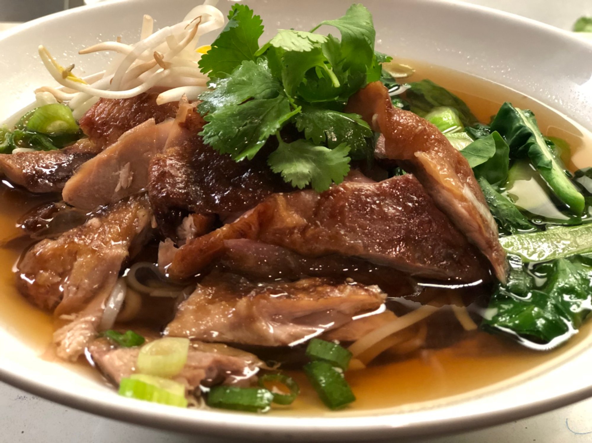 Duck Noodle Soup