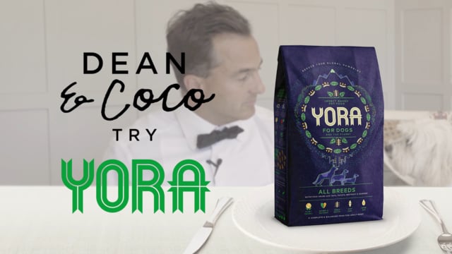 Yora Insect Protein All Breeds Dog Food