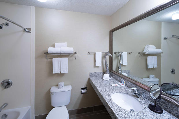 Images Comfort Inn at the Zoo