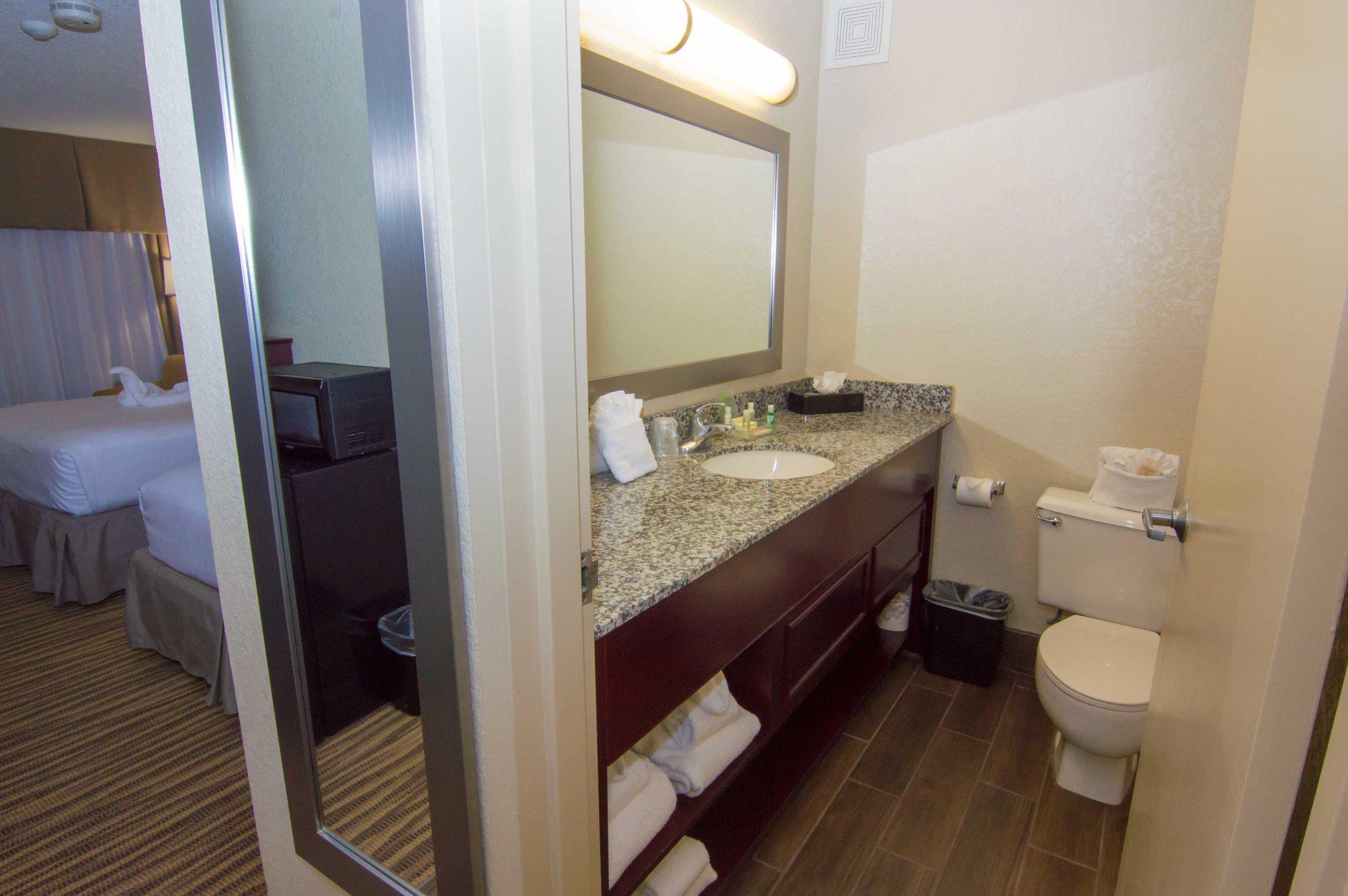 Holiday Inn St Petersburg N - Clearwater Photo