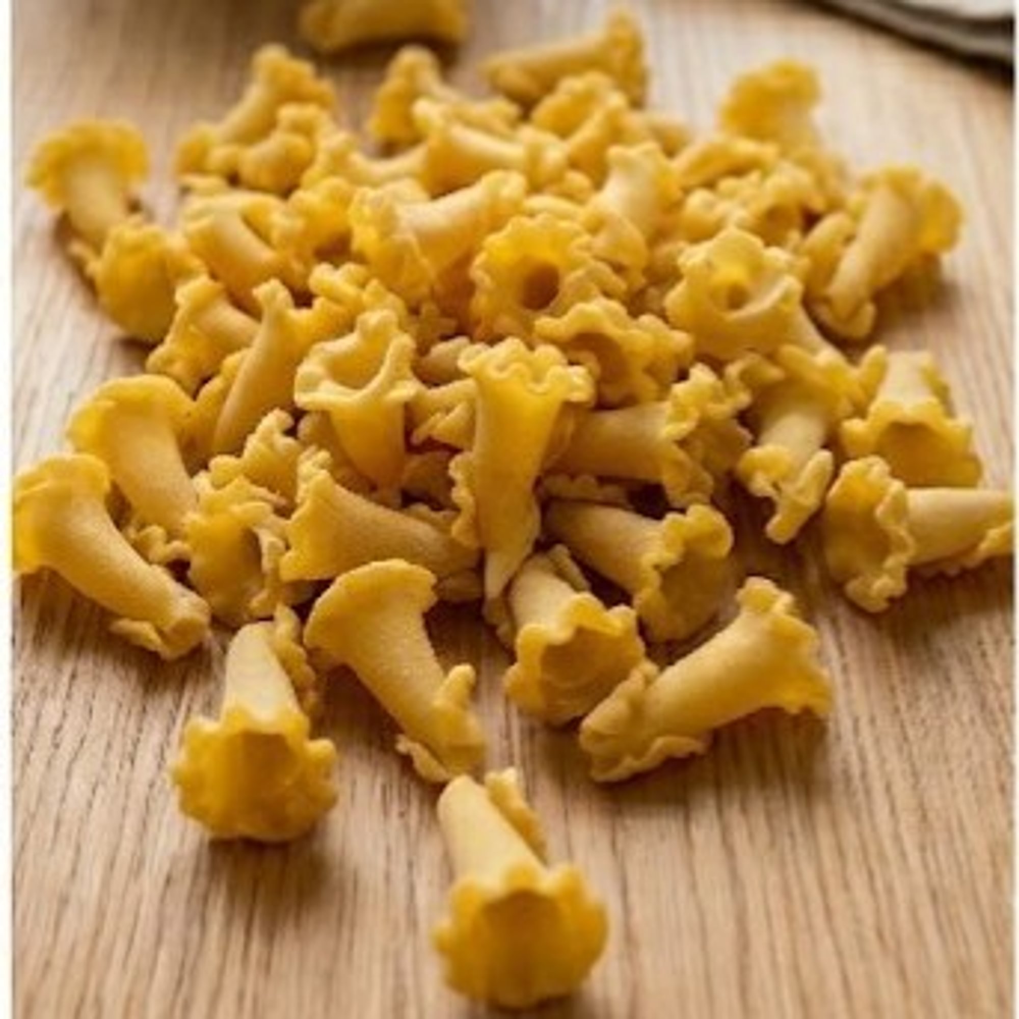 Campanelle