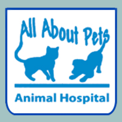 All About Pets Animal Hospital Photo