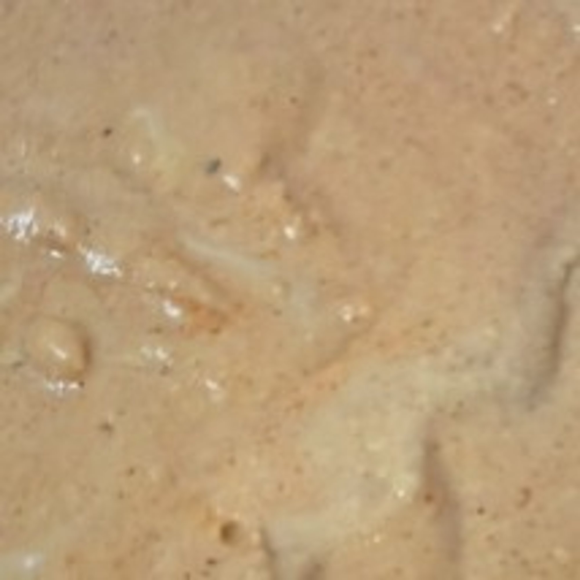 Cajun Hummus