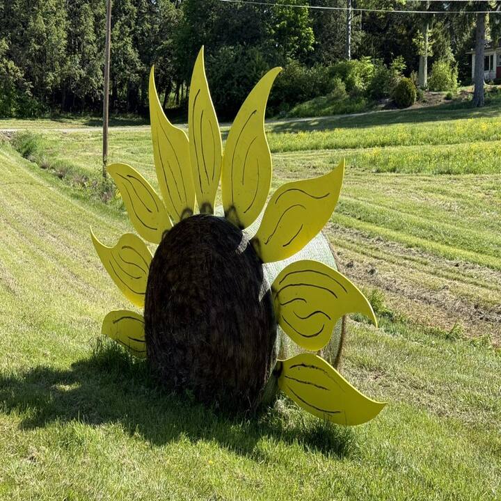 Heasley's Nursery Inc Image