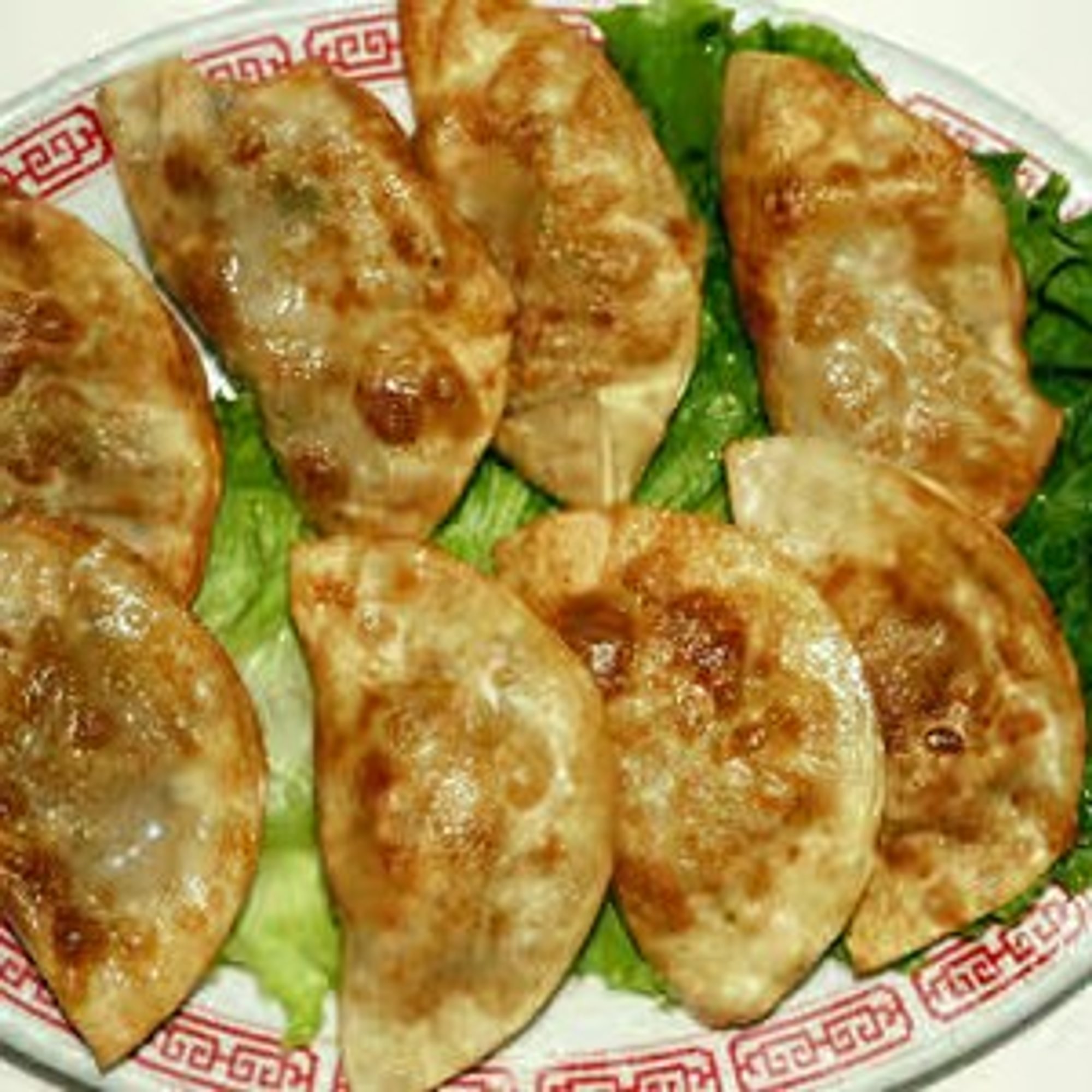 Fried Dumplings