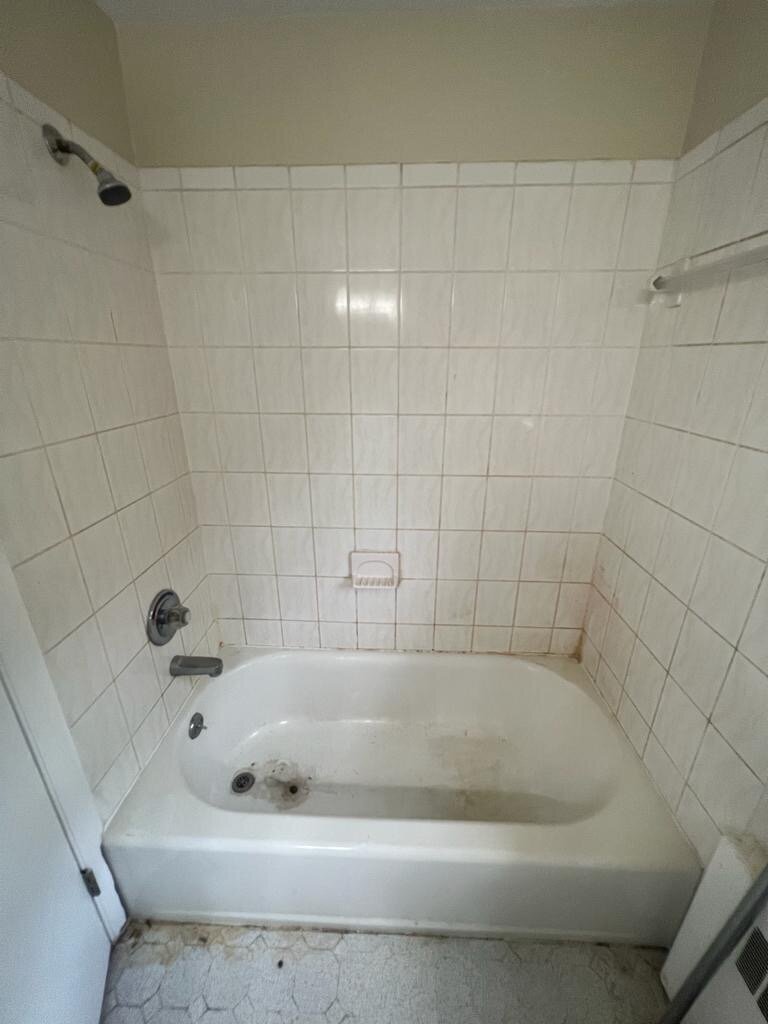 Neia's Shiny Solutions Image