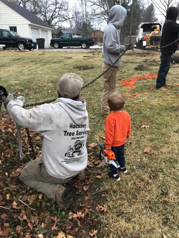 Hackney Tree Service Image