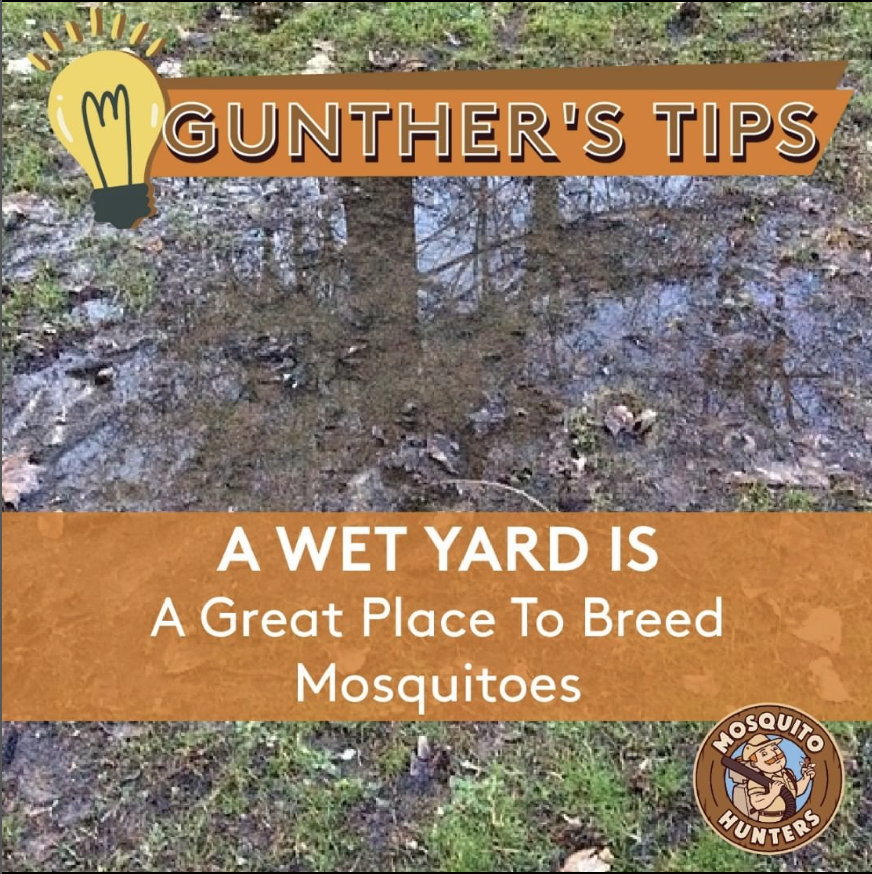 Mosquito Hunters of Alpharetta-Dacula-Jefferson