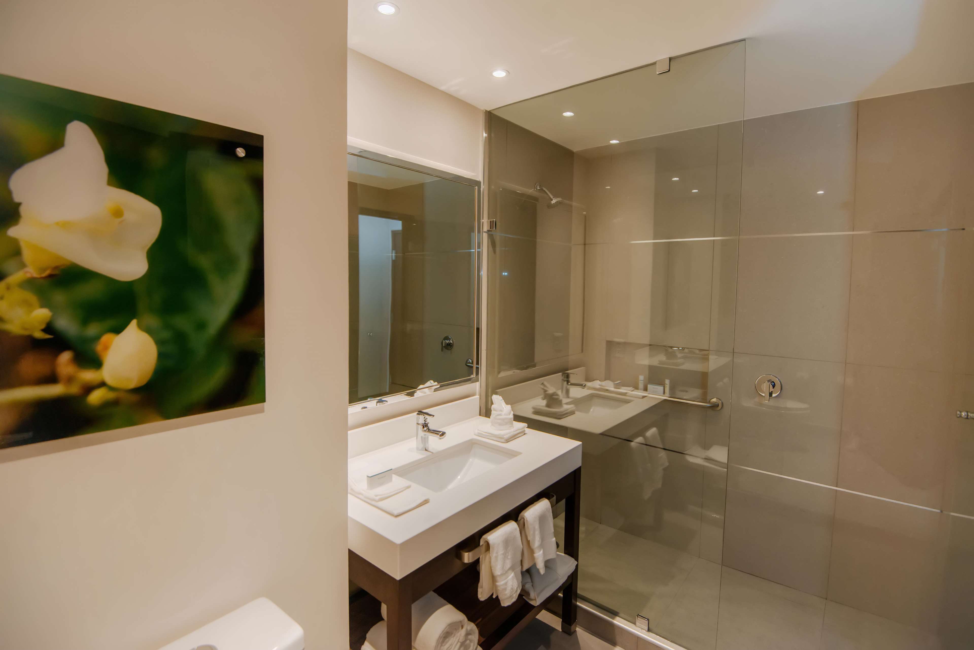 Images Hilton Garden Inn Puebla Angelópolis