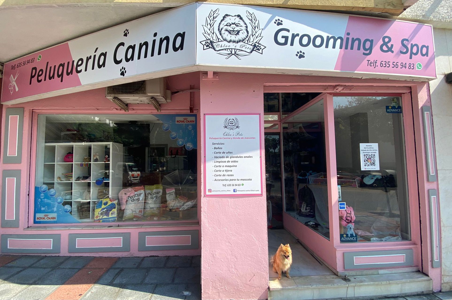 Galería en miniatura
