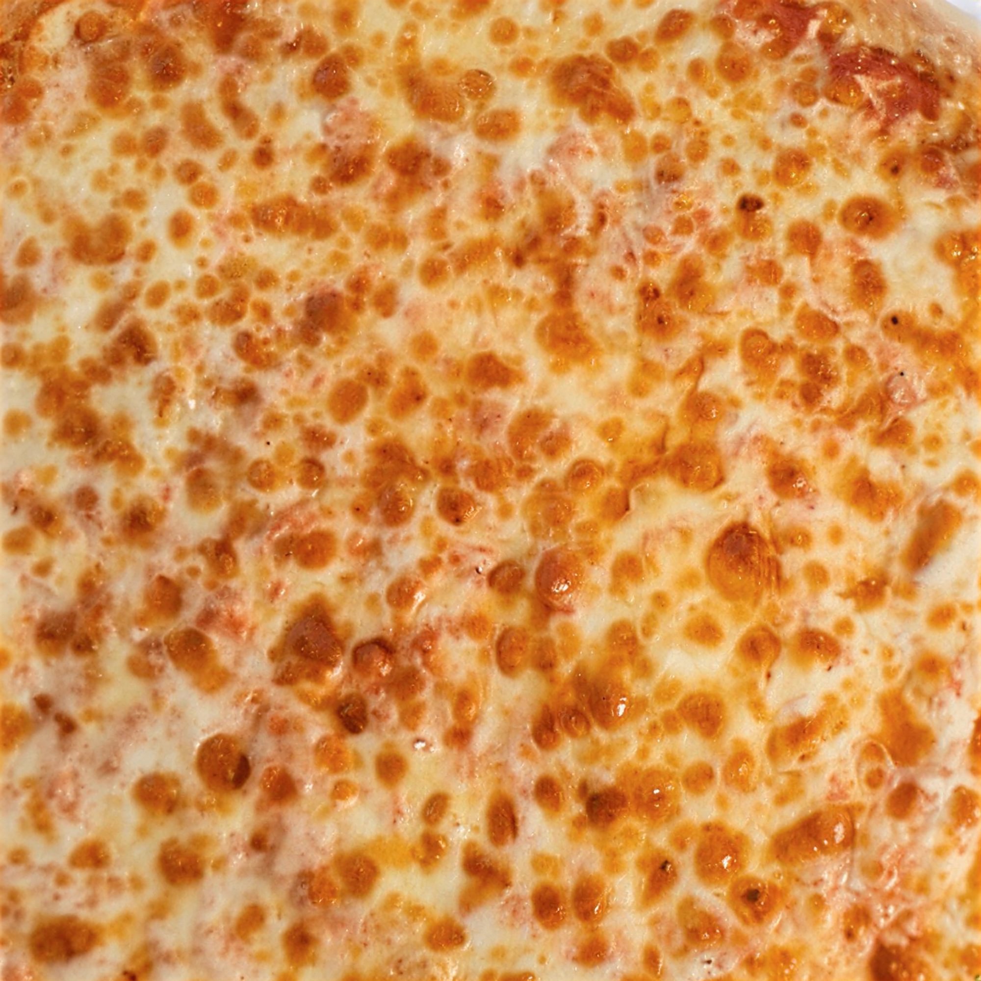 16" Extra Large