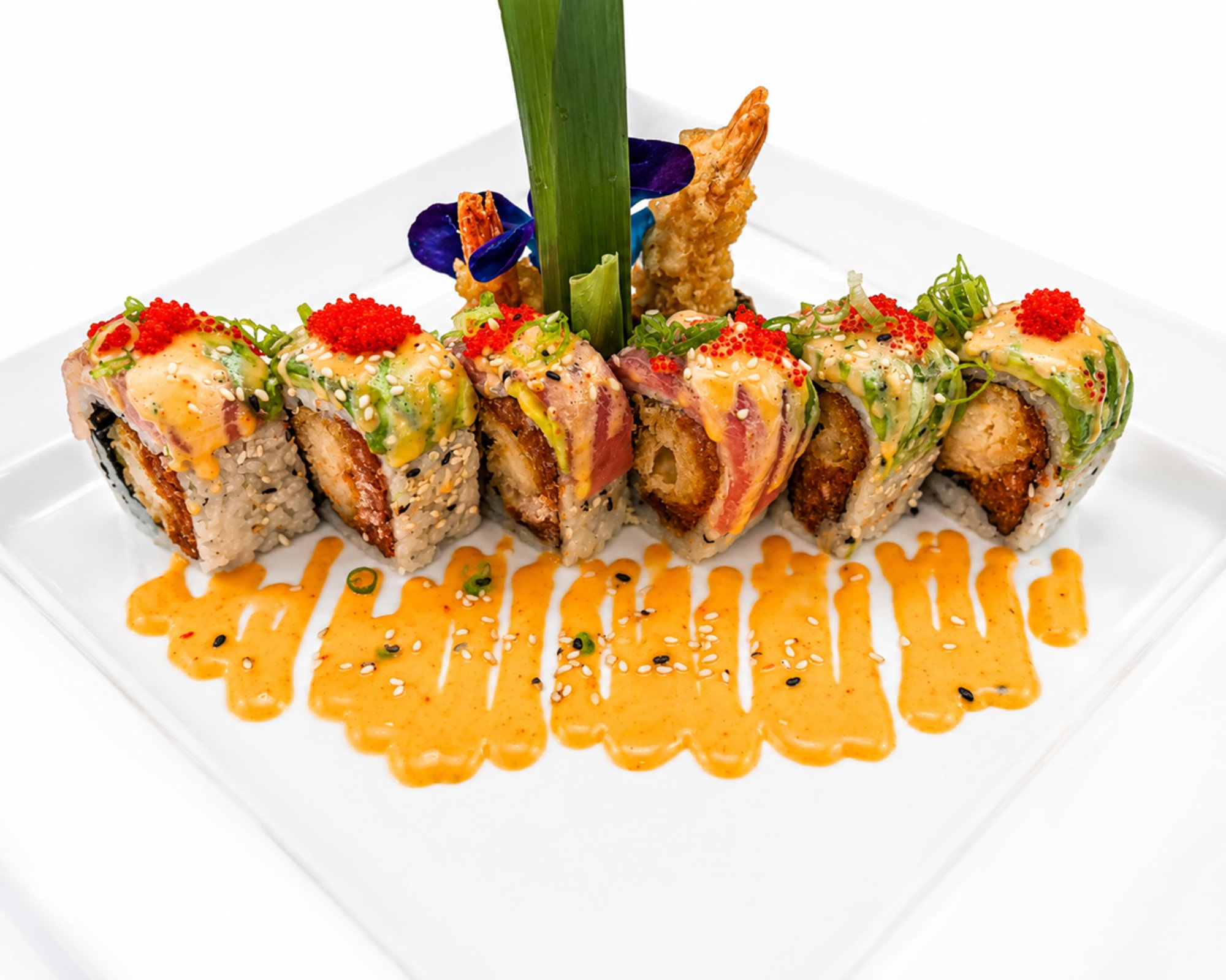American Dream Roll