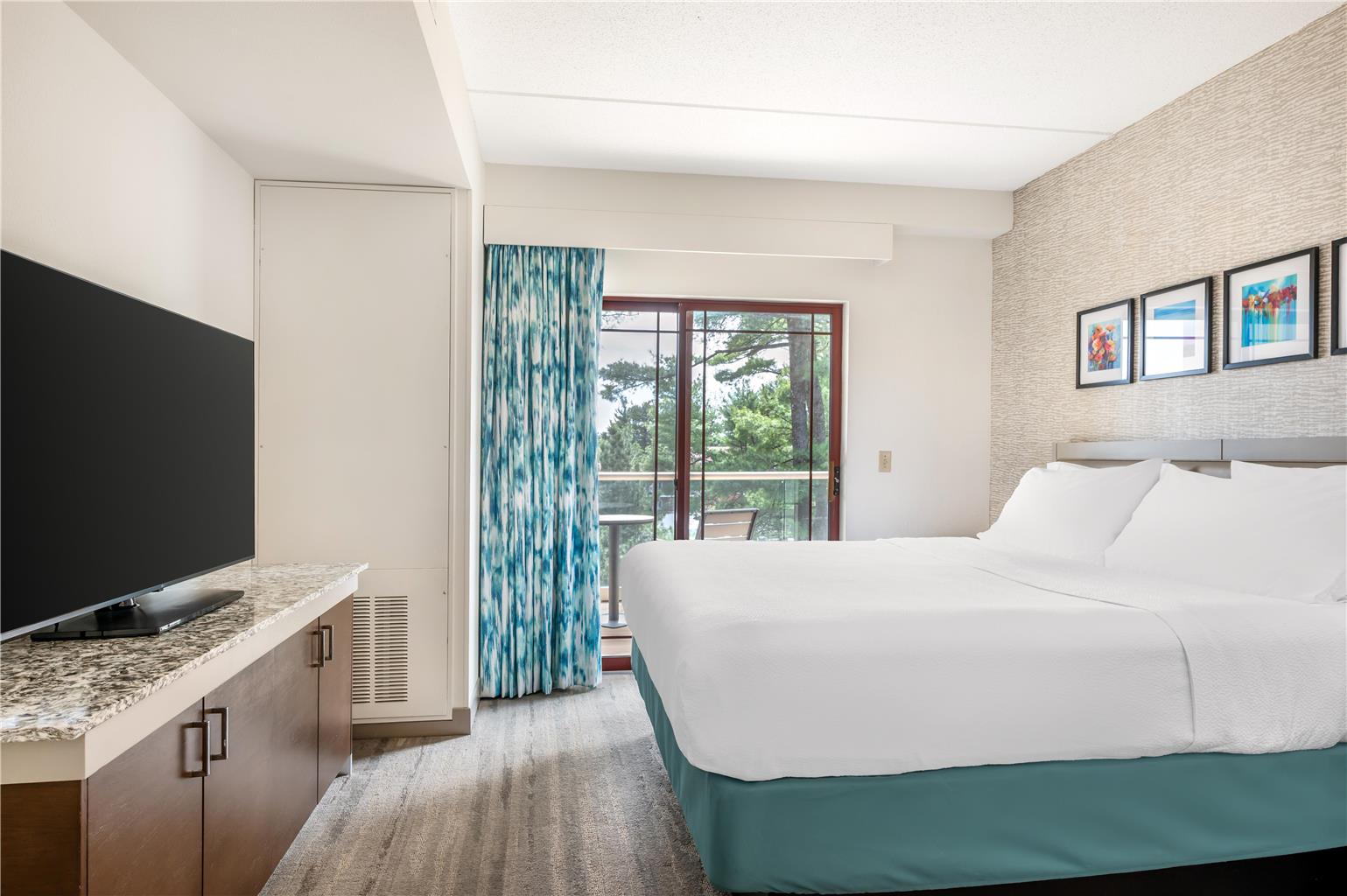 Hilton Garden Inn Wisconsin Dells Image