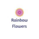 Rainbow Flowers Photo