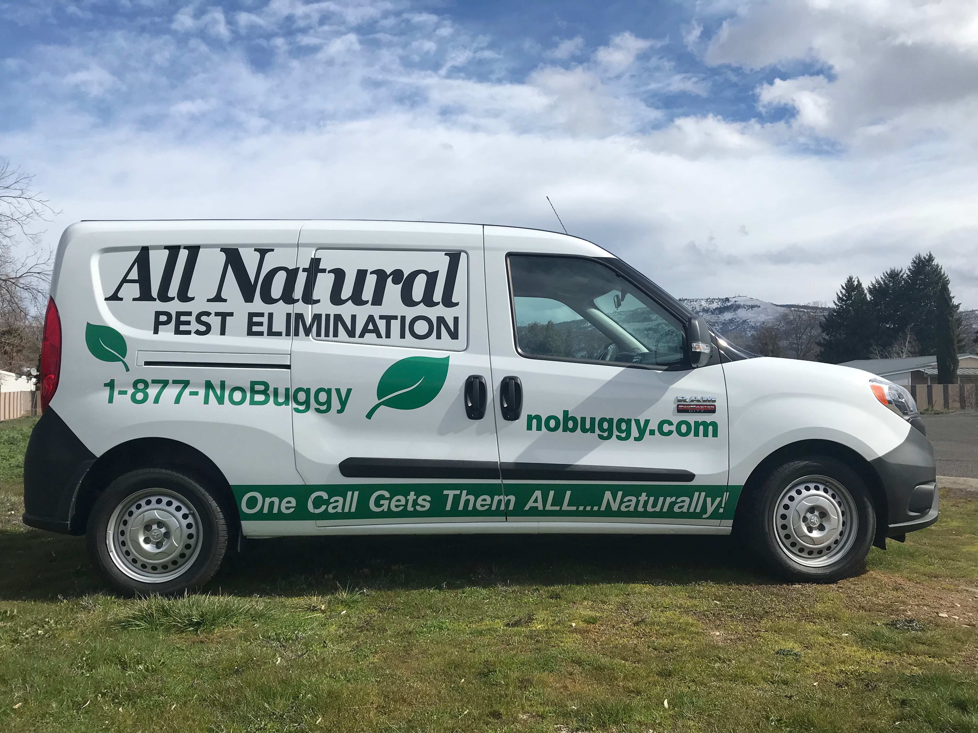 All Natural Pest Elimination Image