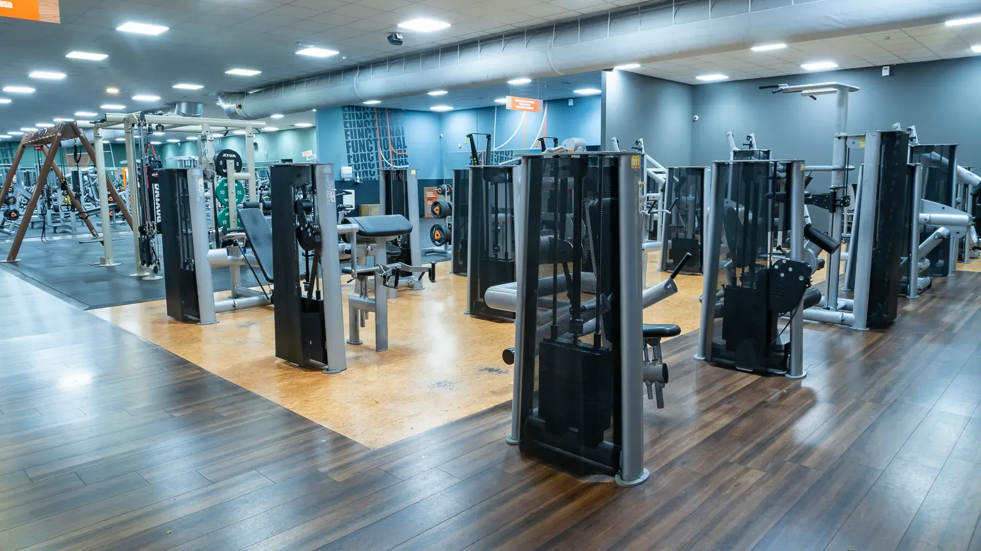 Galería de imágenes