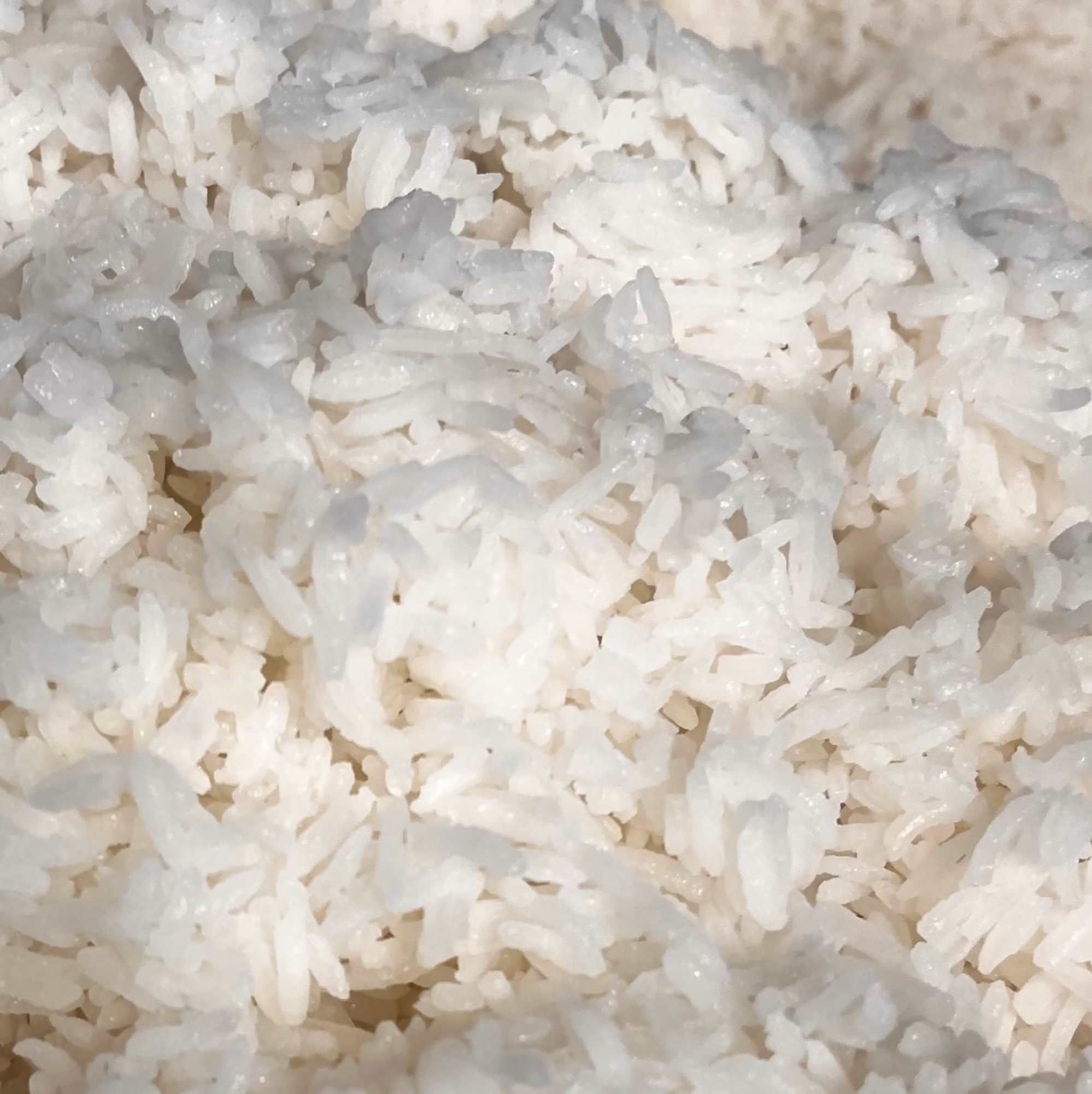 Steamed Rice-Catering