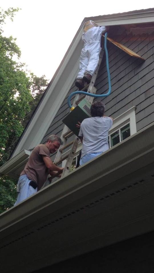 Southern Pro Termite and Pest Control Image