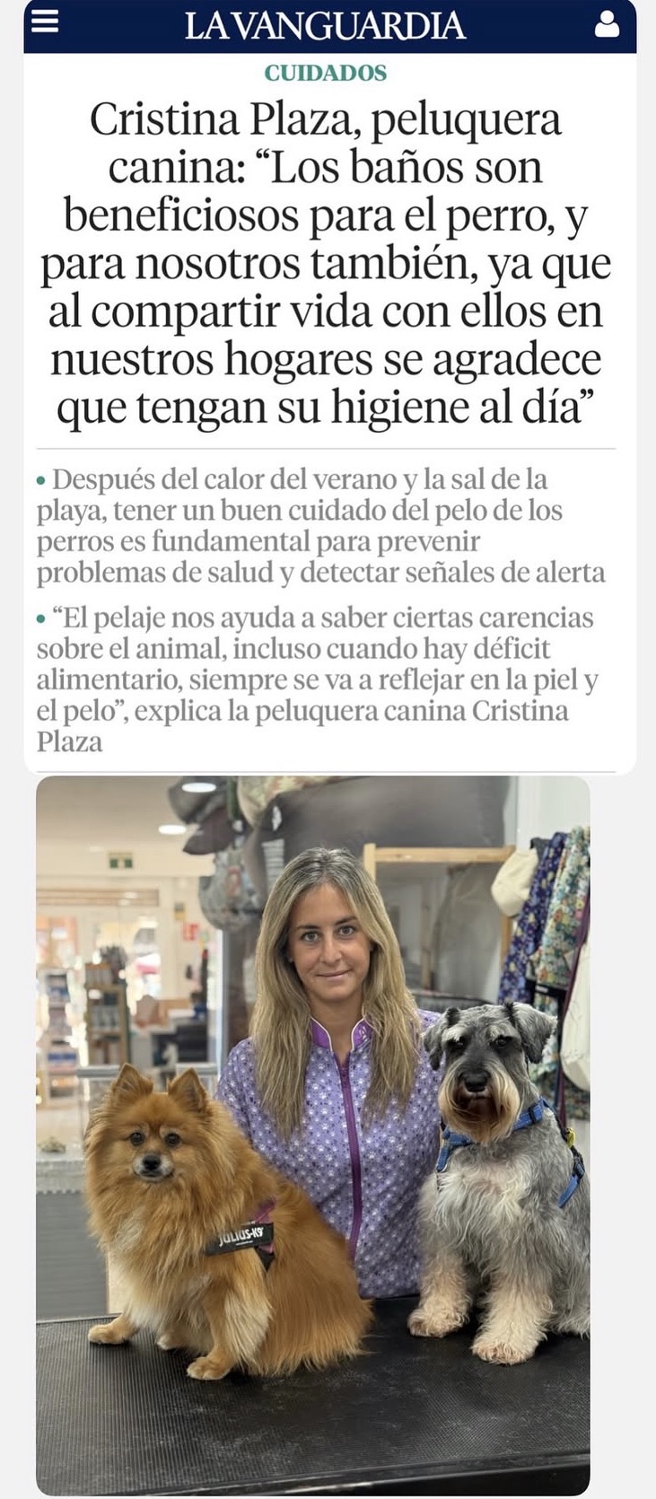 Galería en miniatura