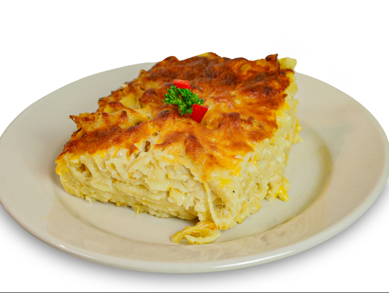 Lg. Macaroni With Meat