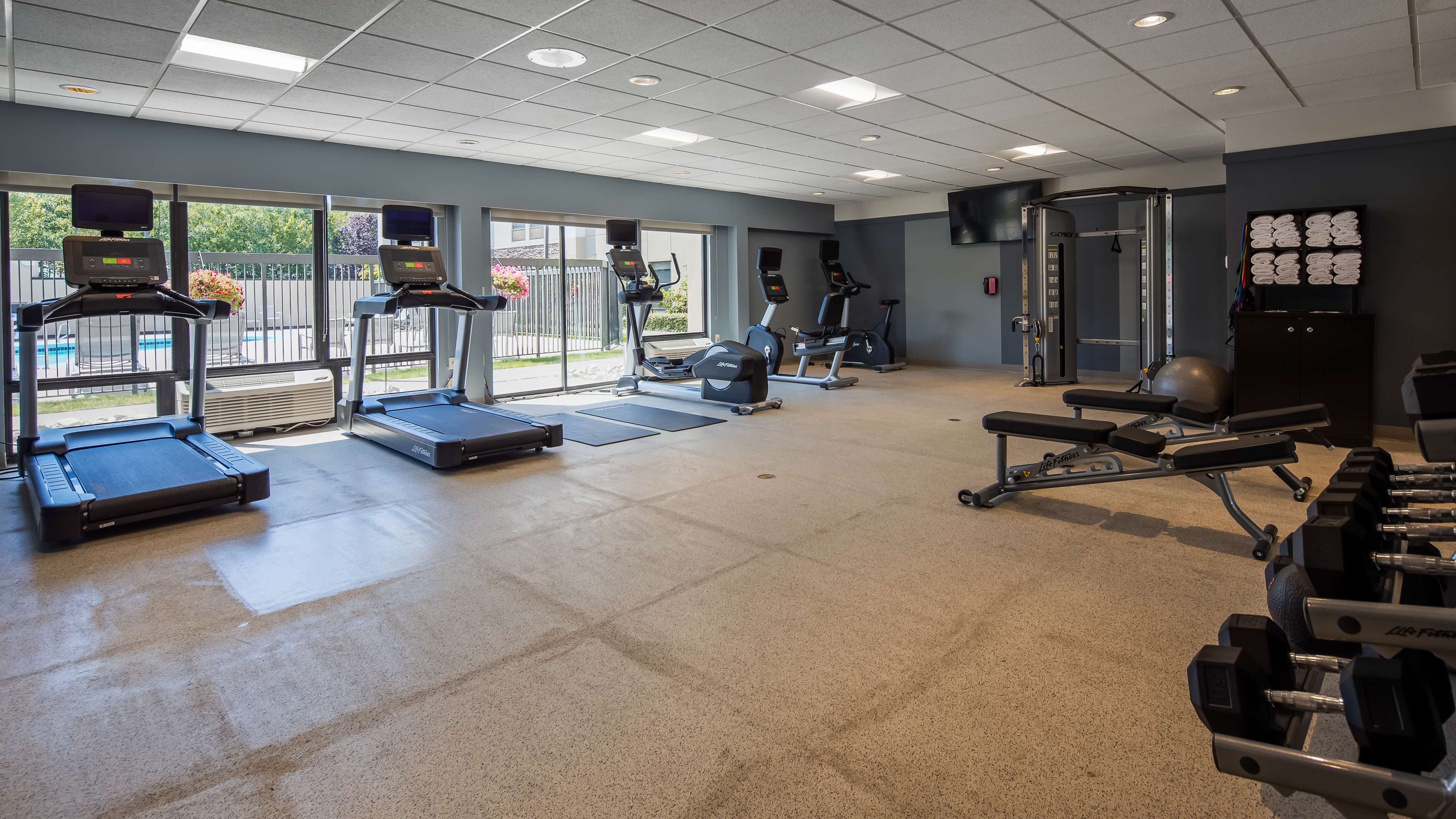 Best Western Plus Bellingham Photo