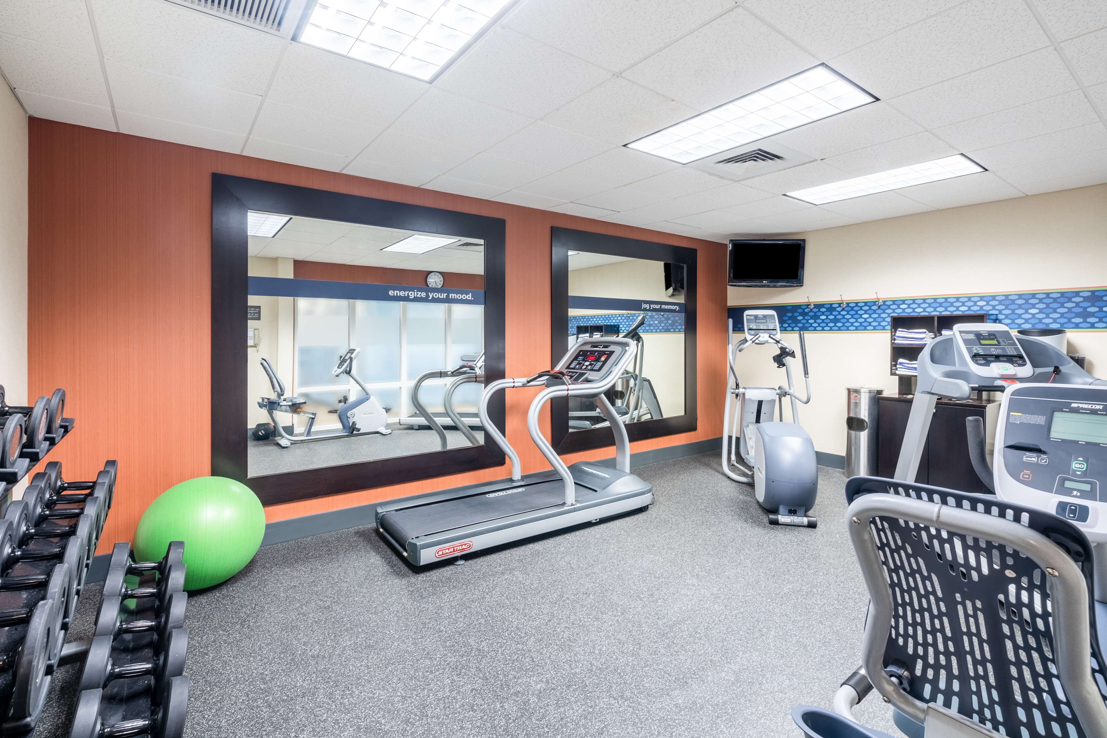 Health club  fitness center  gym