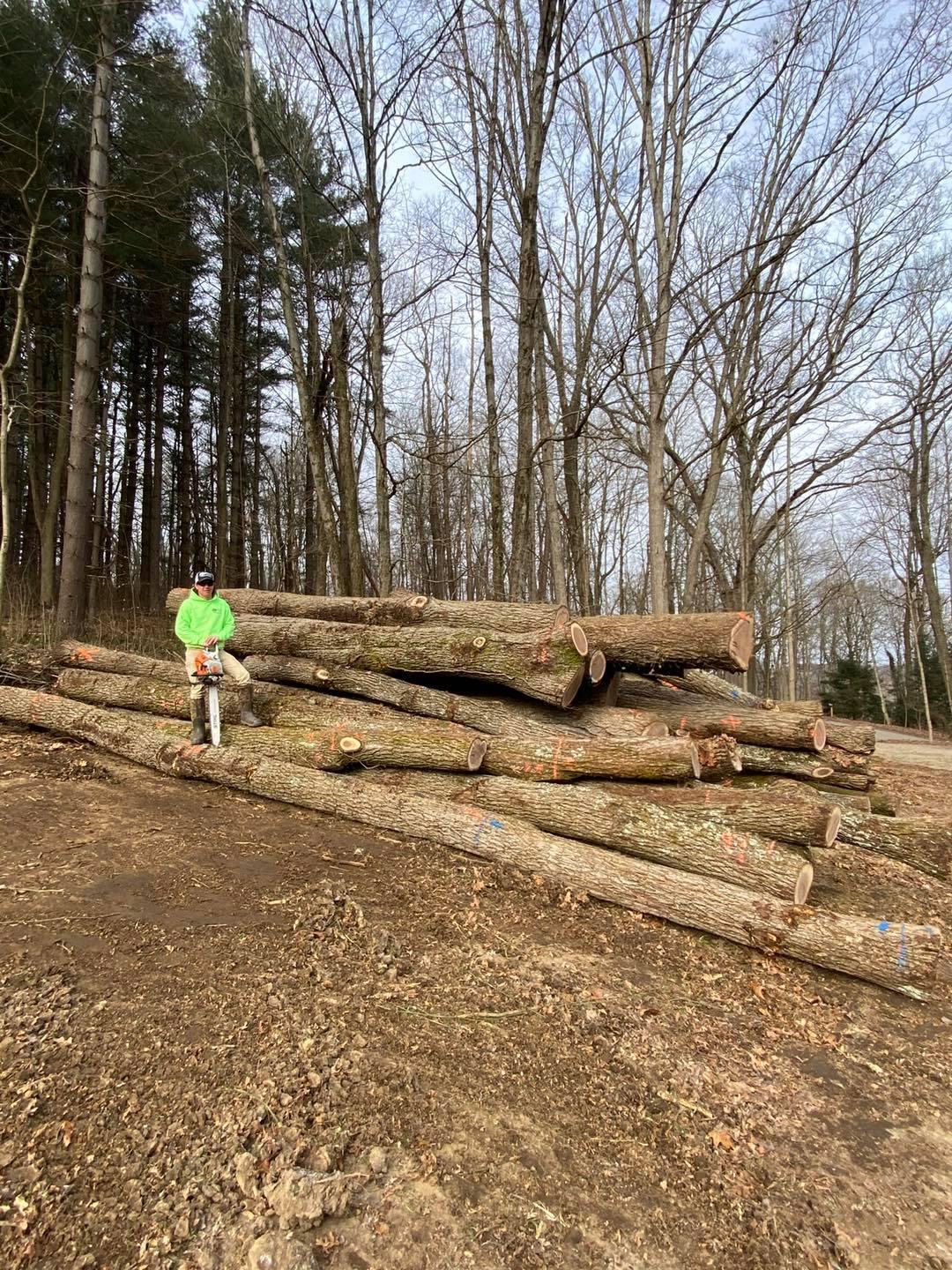 Specialty Tree & Bucket Service Image