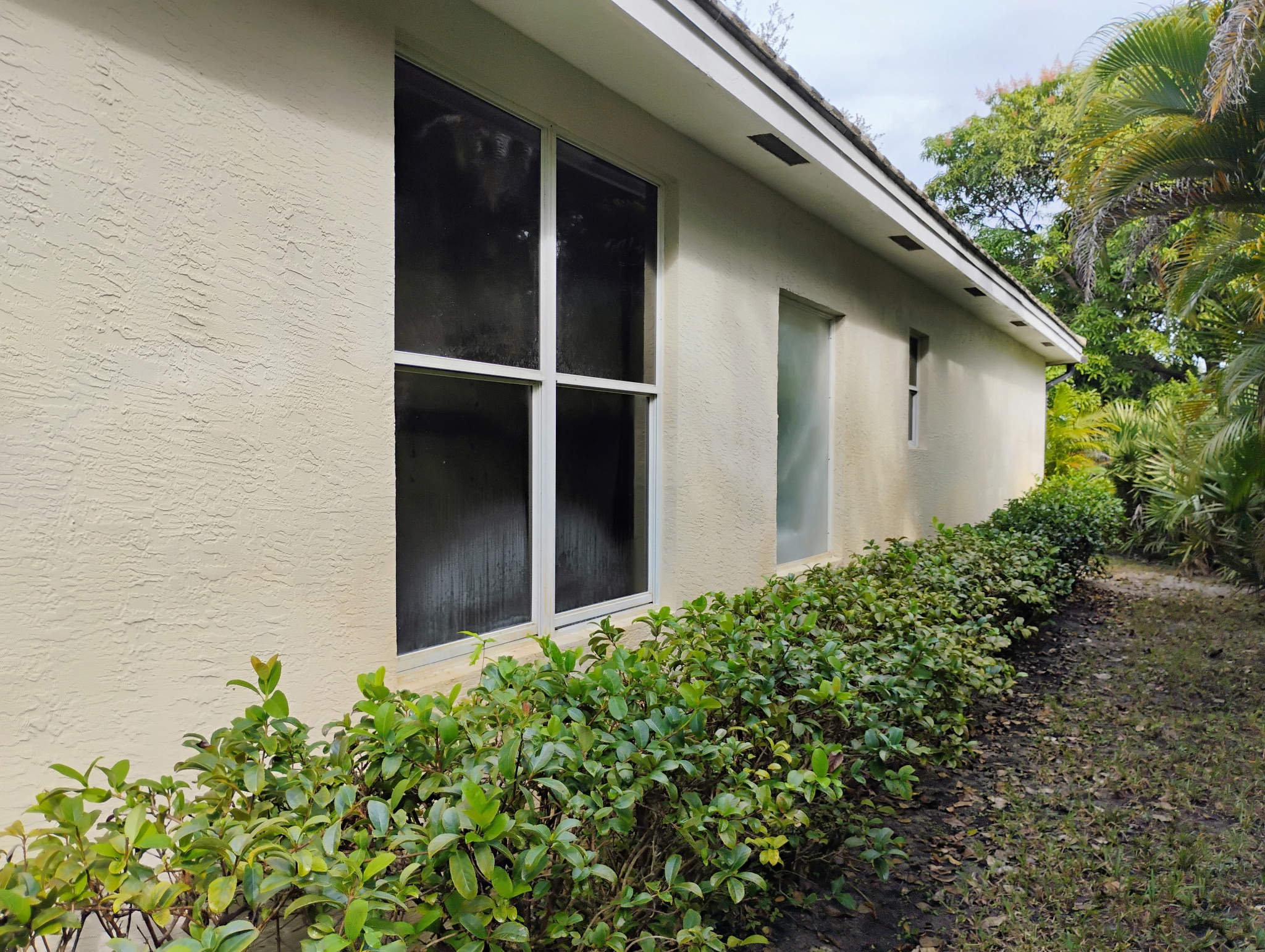 Painting and Pressure Washing by Michael Image