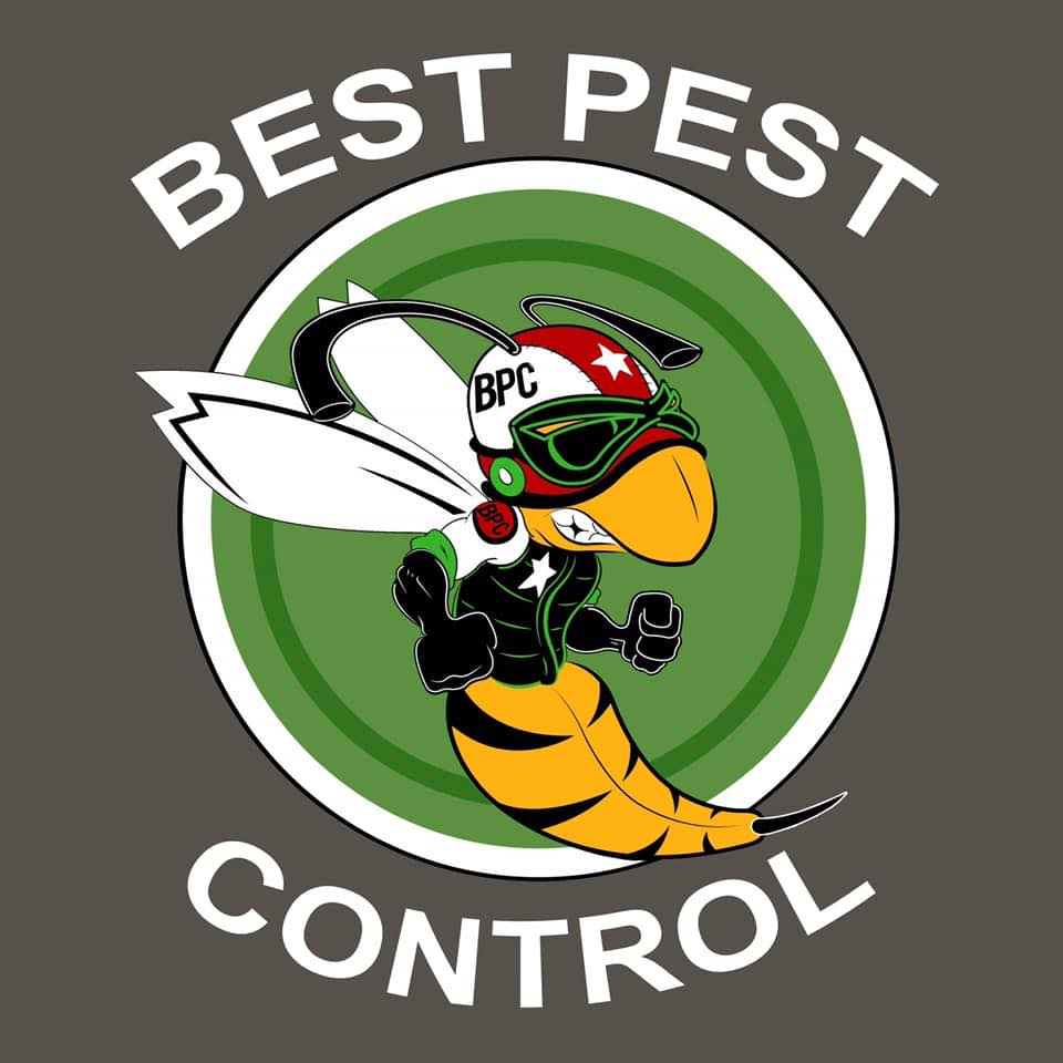 Best Pest Control and Services