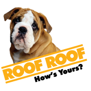RoofRoof
