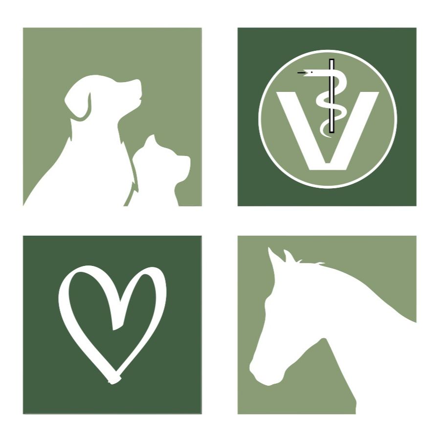 Logo von Tierarztpraxis Hohenhameln