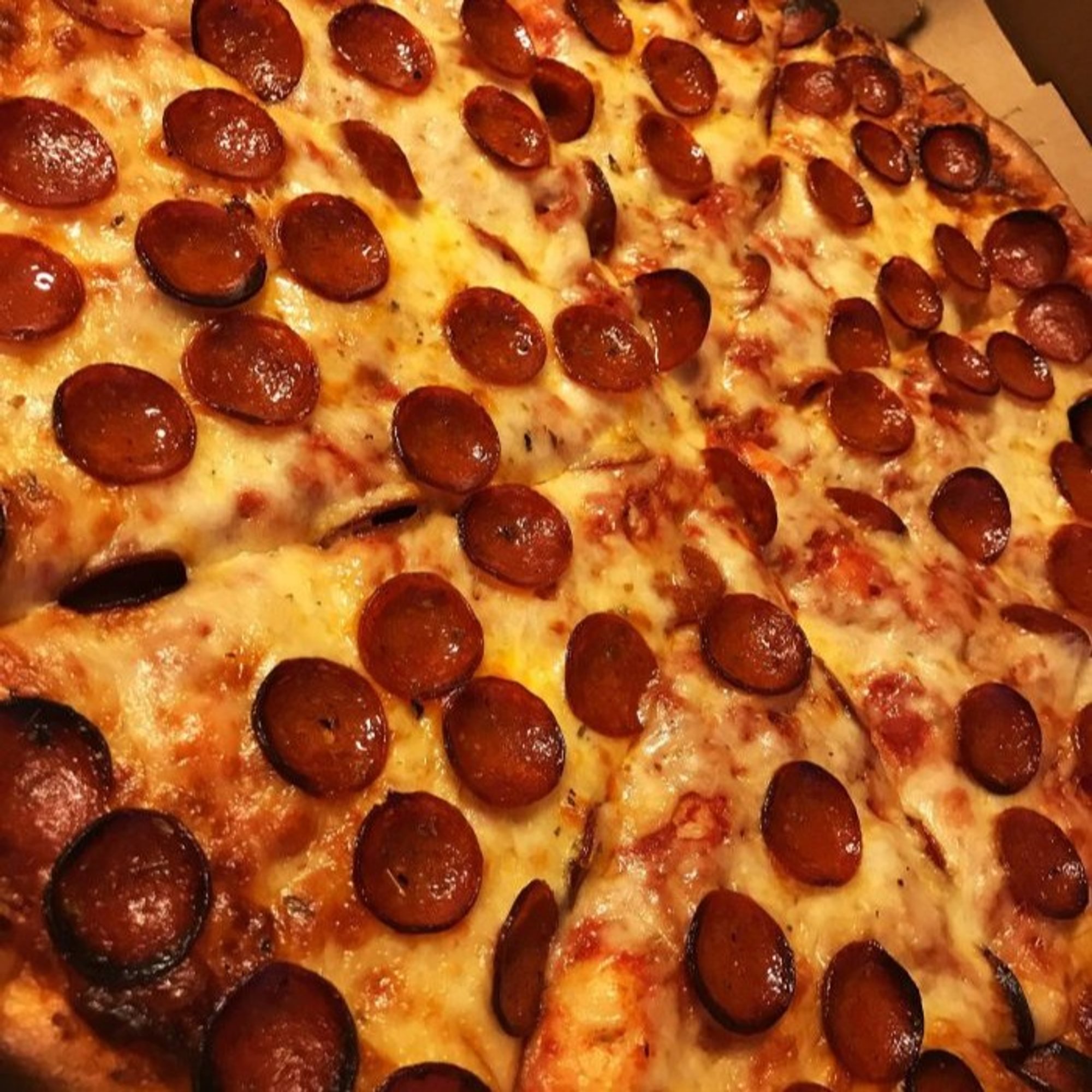 20" Extra Large