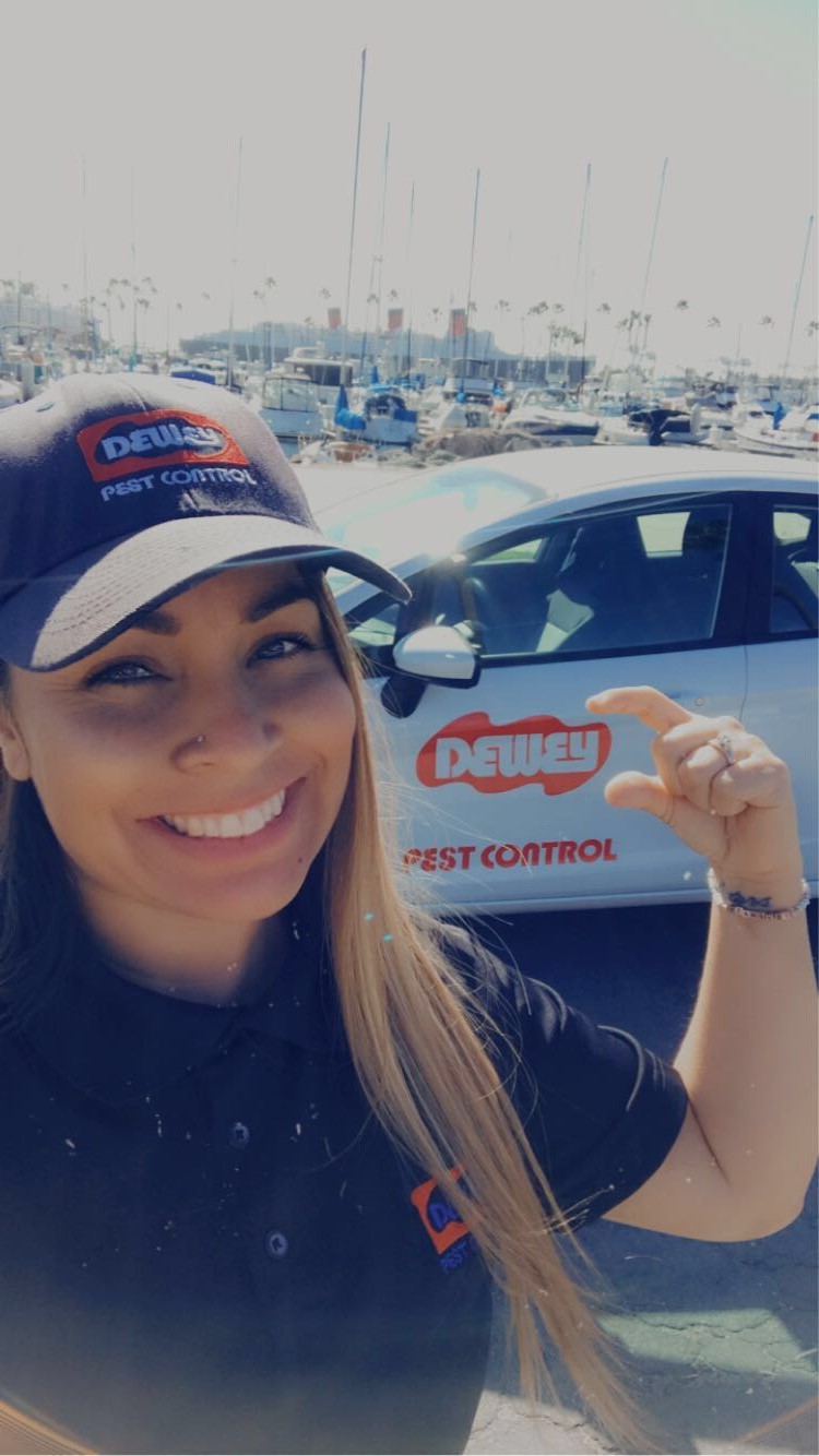 Dewey Pest & Termite Control Image