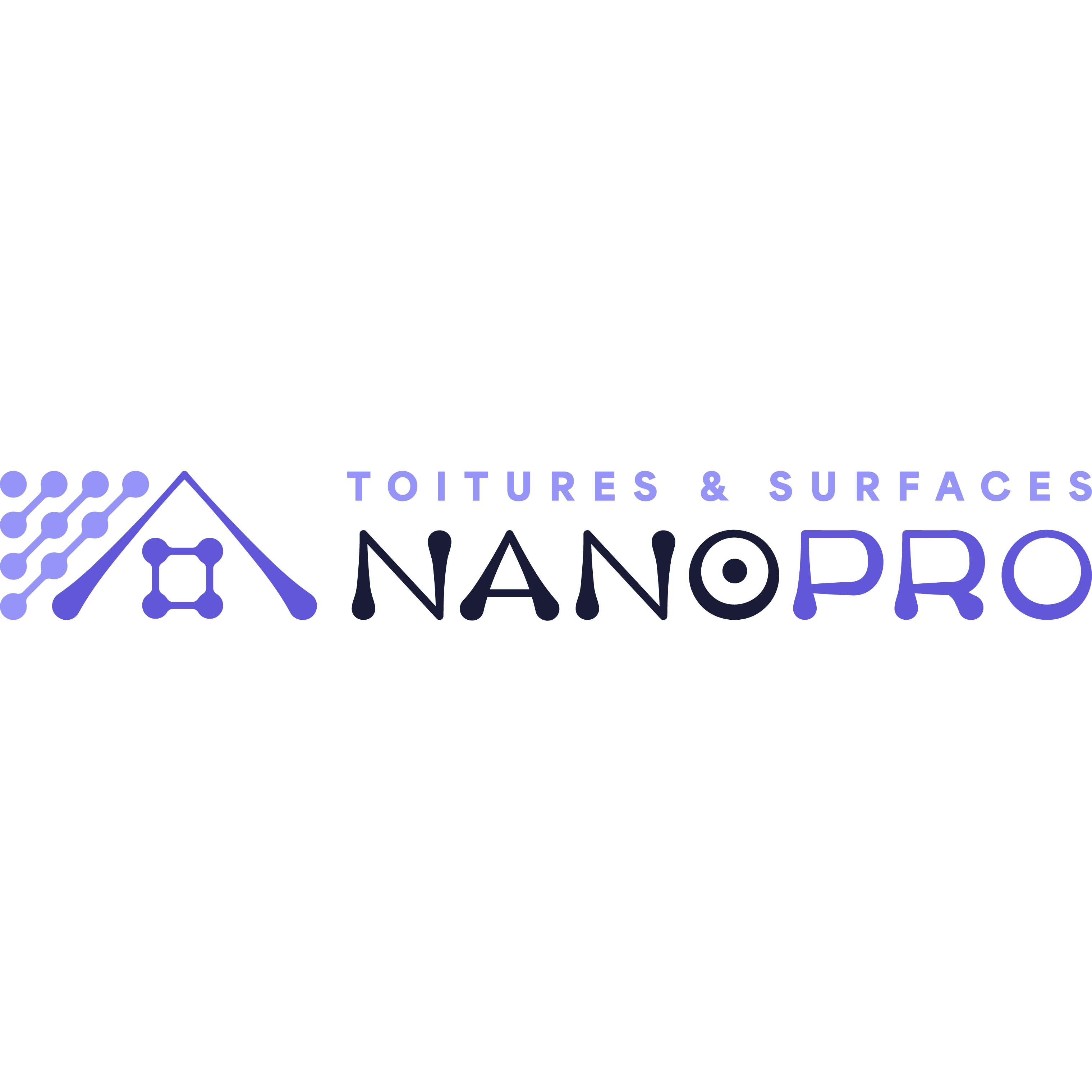 Toitures et Surfaces Nano Pro