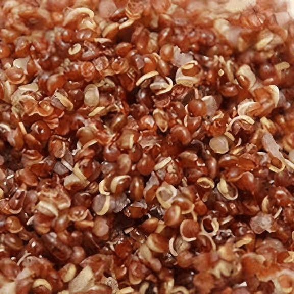 Quinoa
