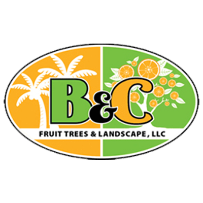 B&amp;C Fruit Trees and Landscape, LLC Logo