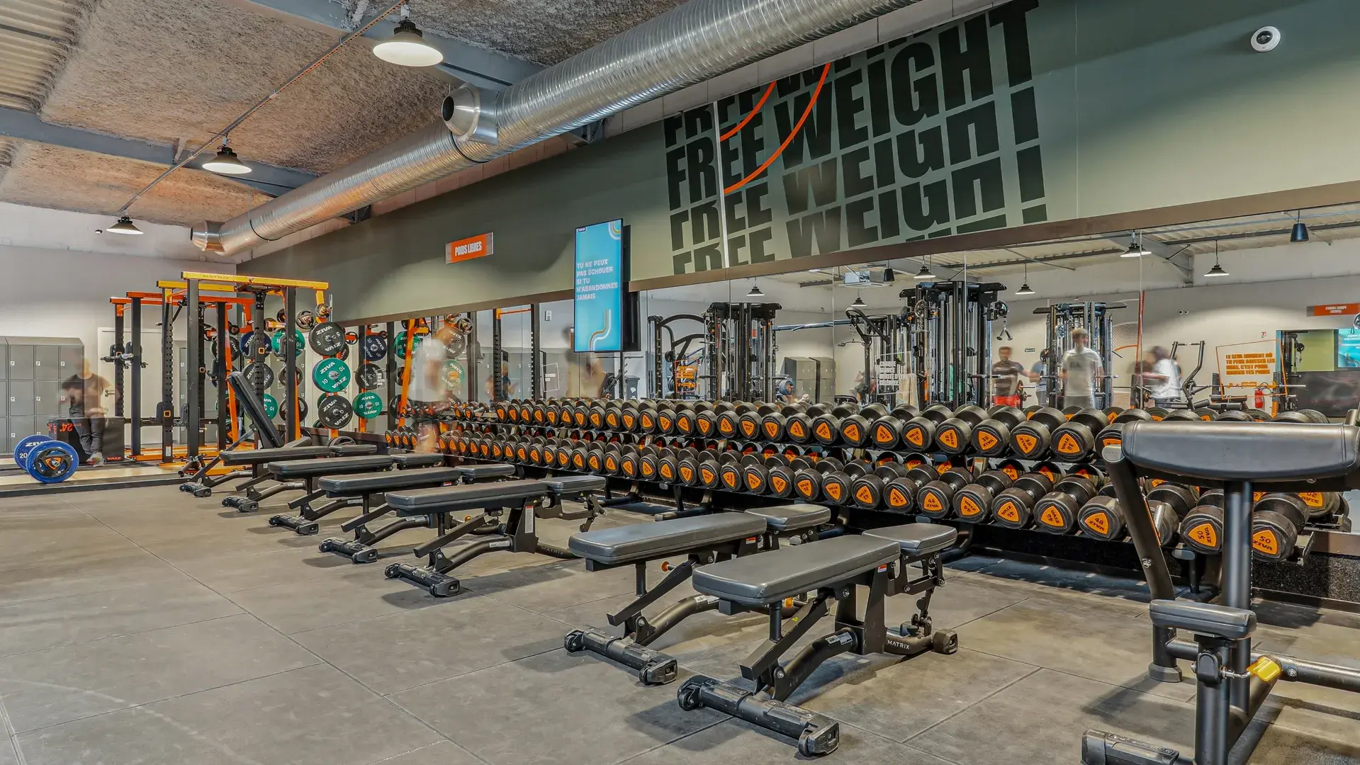 Miniature de la galerie