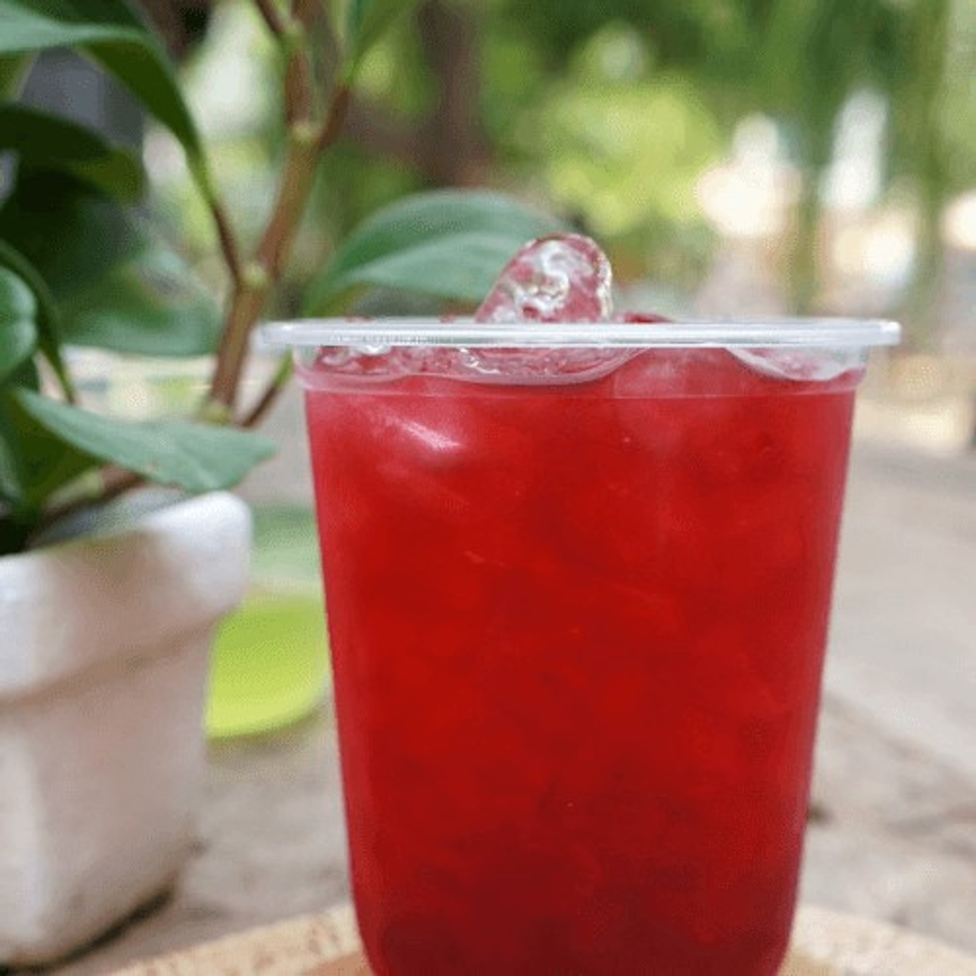Jamaica Hibiscus Tea
