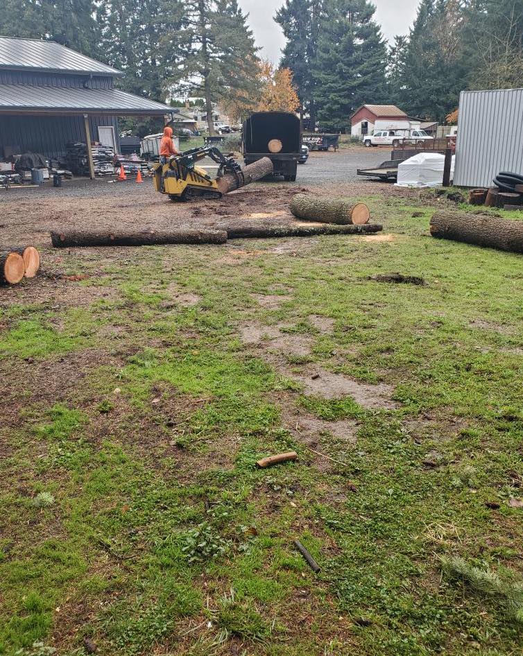 Alex's Quality Tree Service Image